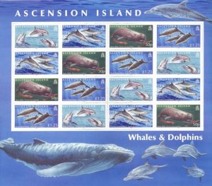 ASC168SHM Whales & Dolphins 