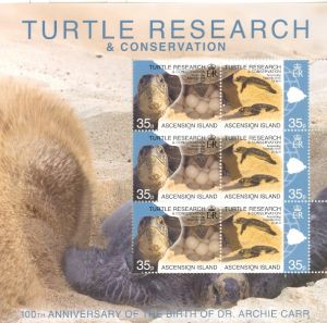  ASC178SHM2 Turtle Research 